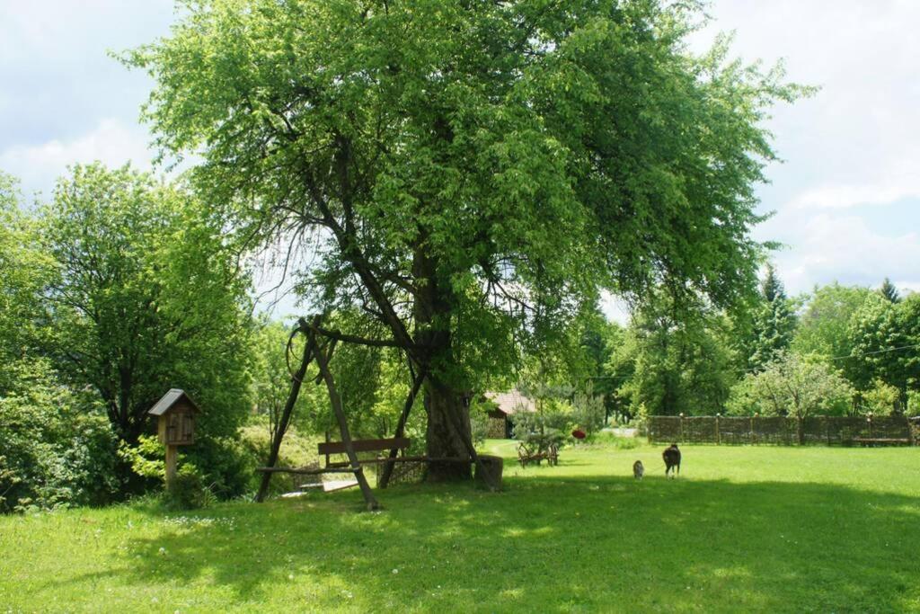 Agroturystyka Ropienka Zewnętrze zdjęcie