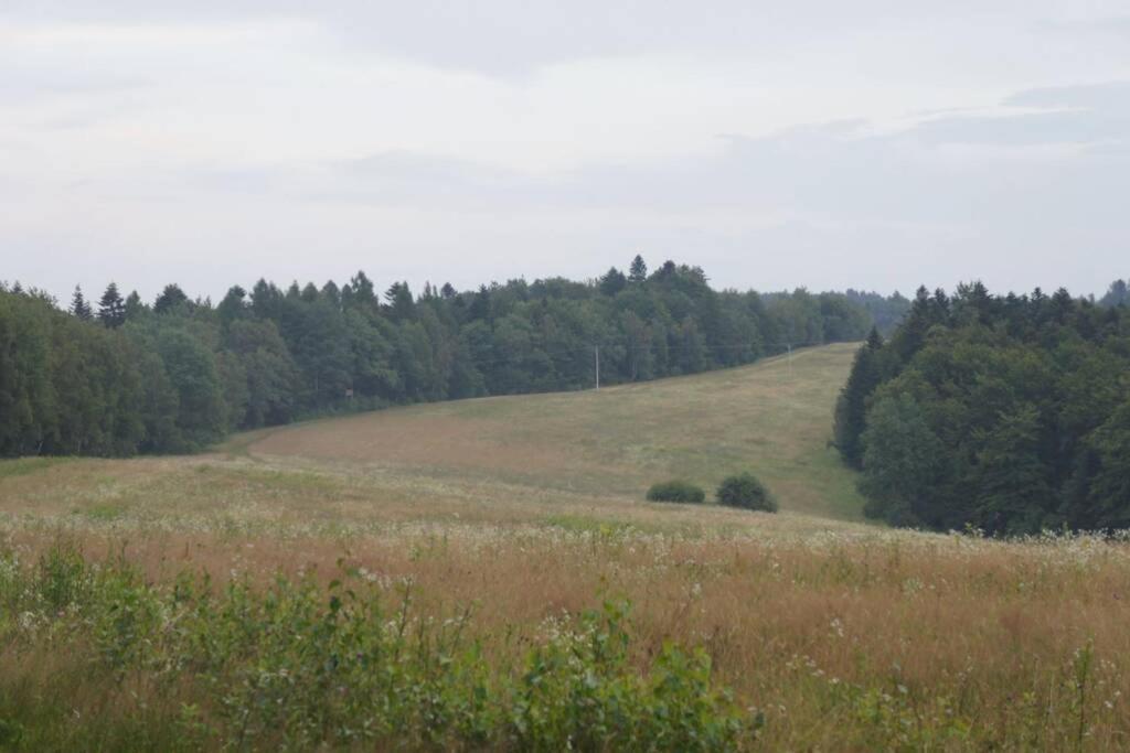 Agroturystyka Ropienka Zewnętrze zdjęcie